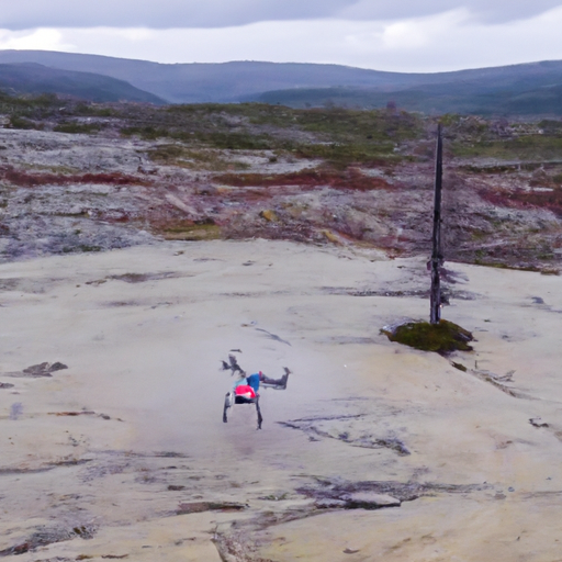 How a drone can help you scout for resources in a survival situation