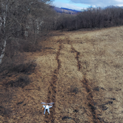How a drone can help you locate and track animals for food in a wilderness survival scenario